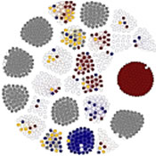 Antibody Clustering illustration